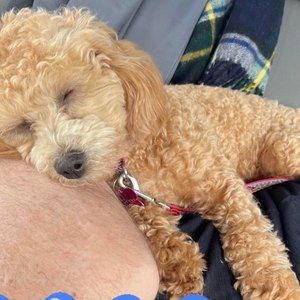 Meet your Posher, Angela